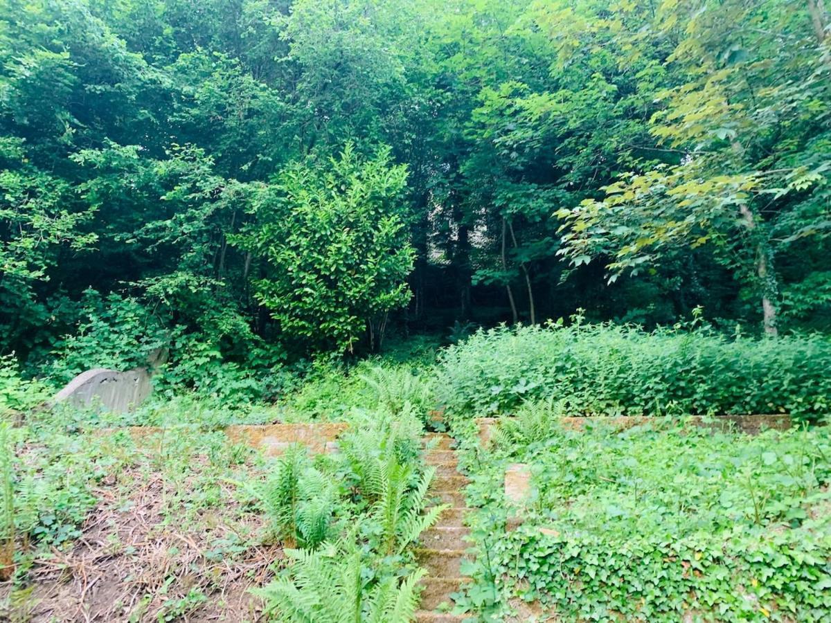 Terrace *